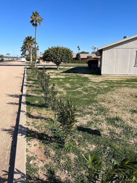 Bye Bye Bugs Pest Control & Weeds