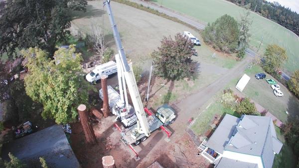 M.R. Tree Service