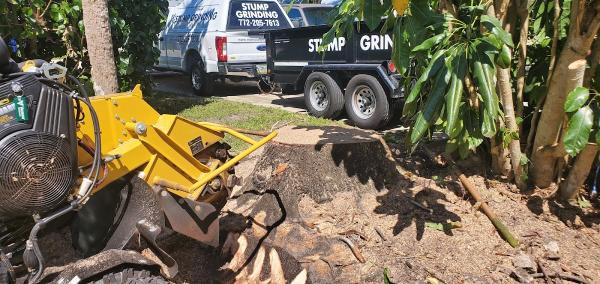 Mama's Stump Grinding