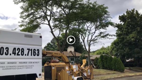 Capitol Tree Service Inc.
