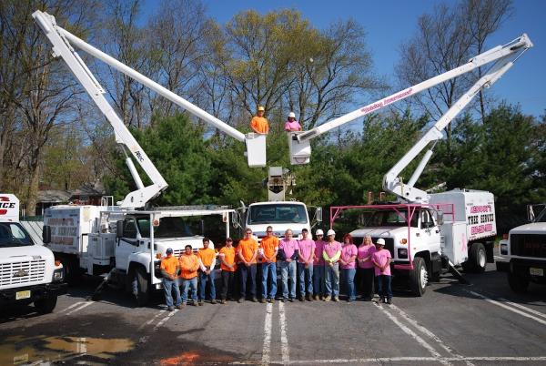 Meinhart's Tree Service
