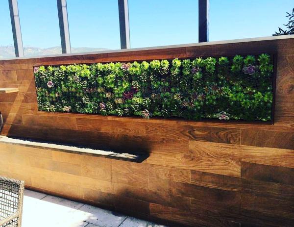 California Plantscapes