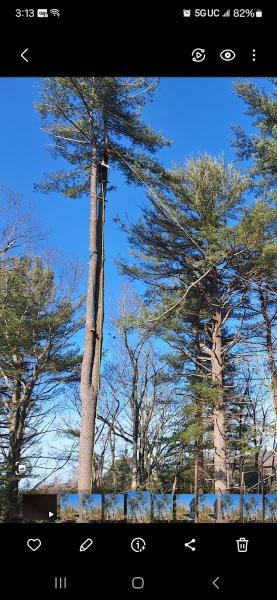 1-2-Tree