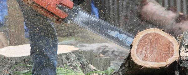 We Care Tree Service