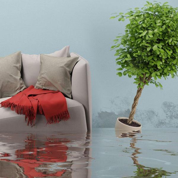 Bio Restoration LLC