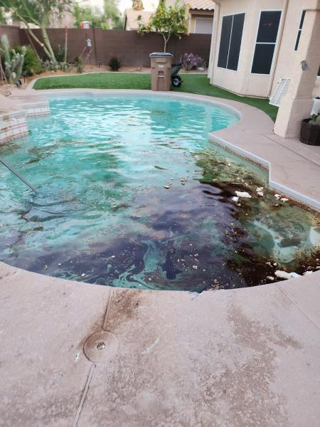 Creative Pool Plastering Inc