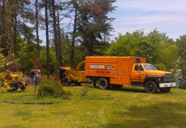 Shelton Tree Service