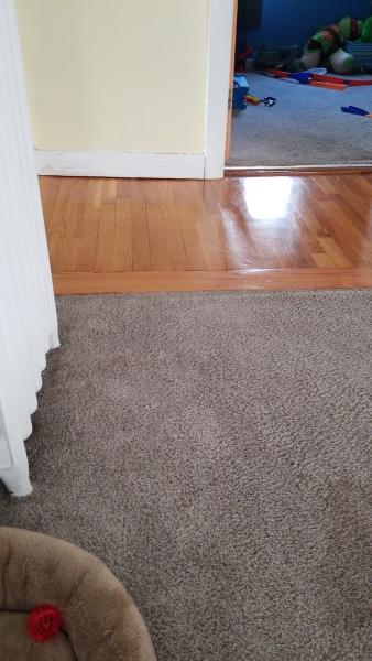 Modern Day Floors