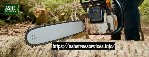 Ashe Tree Service