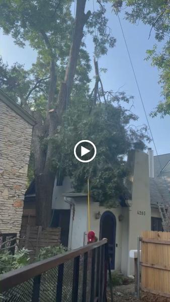 A Good Morning Tree Service