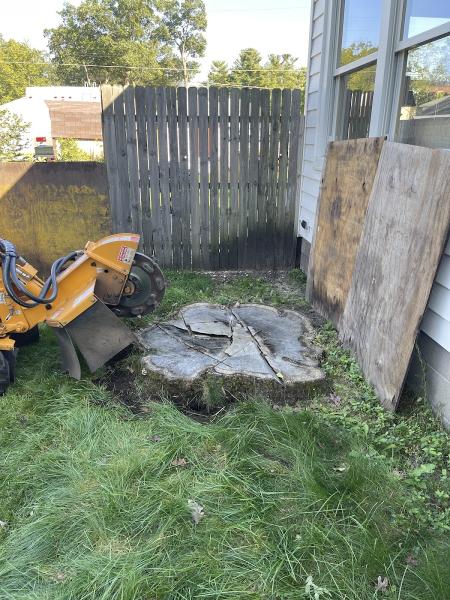 Grand Traverse Stump Grinding