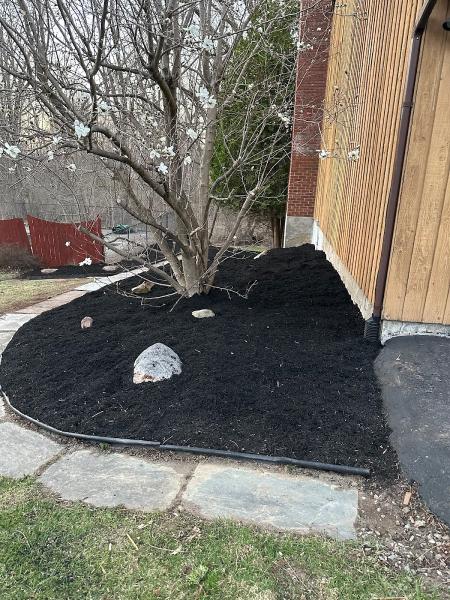 Cny Simple Lawn & Snow Llc