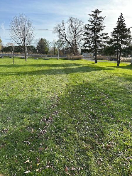 Apple Valley Tree Service