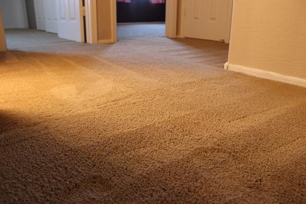 Metro Denver Carpet Repair & Cleaning Service