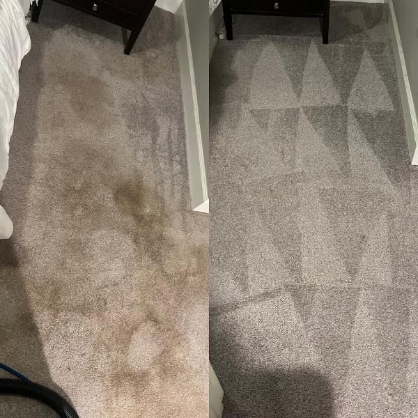 Andy's Carpet Cleaning