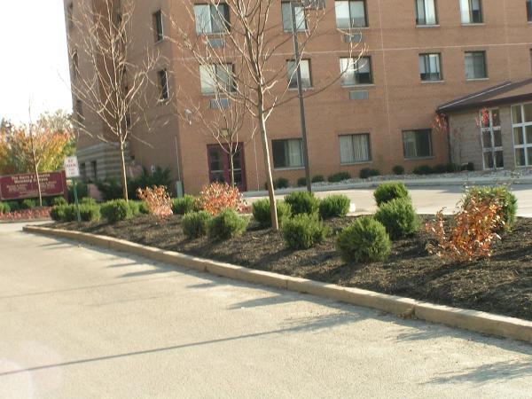 Demasi's Landscape Services