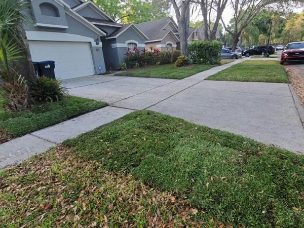 Michael Geist's Yard Works