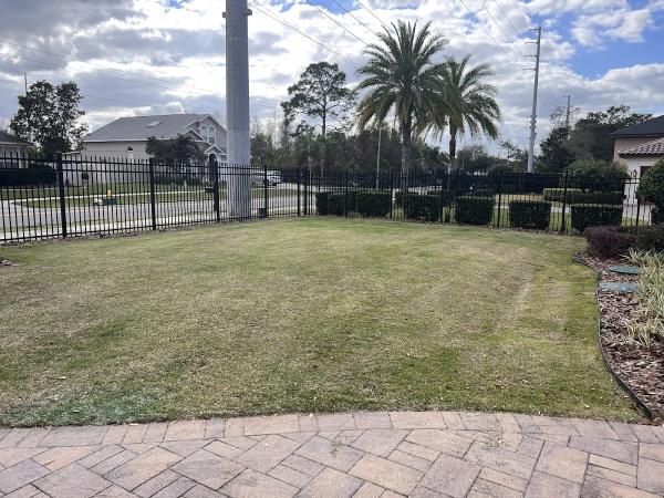 Michael Geist's Yard Works