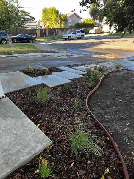 Living Systems Landscaping