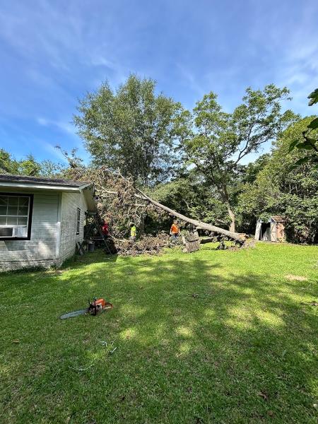 Pitts Tree Service