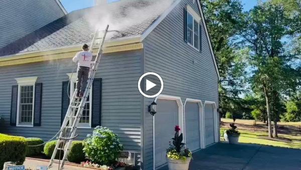 Professional House Painters Corp.