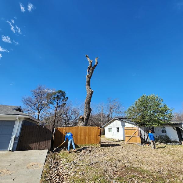 Bright Tree Service