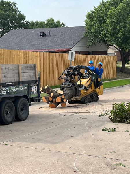 Bright Tree Service