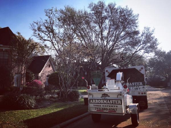 Arbormaster Tree Experts