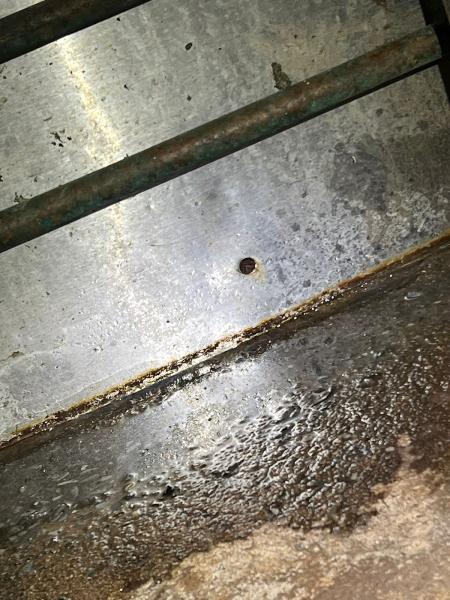 Smart Environmental Pest & Cleaning Services