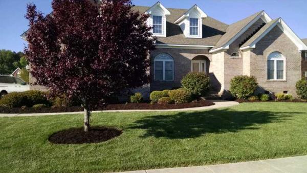 Cost Cutters Lawn Care & Landscaping