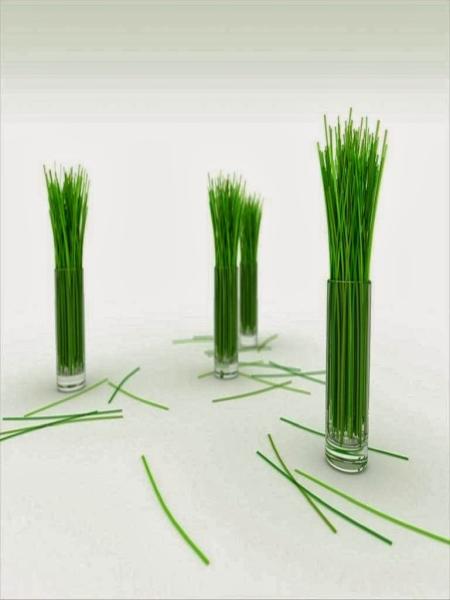 Cost Cutters Lawn Care & Landscaping