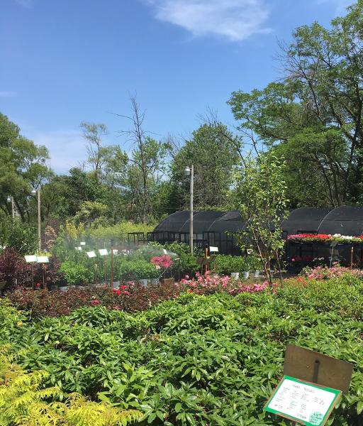 RAL Landscaping & Garden Center