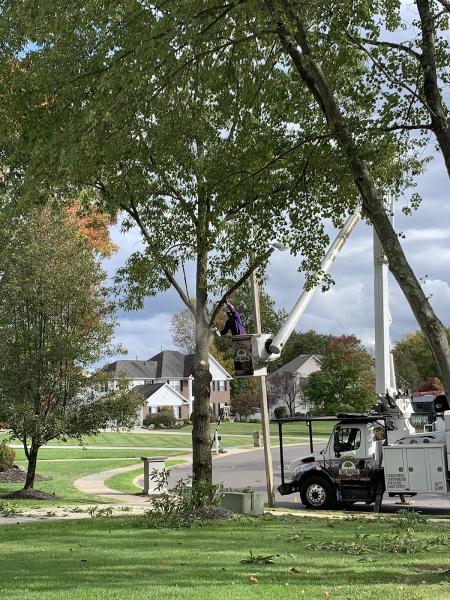 Captain's Tree Service LLC