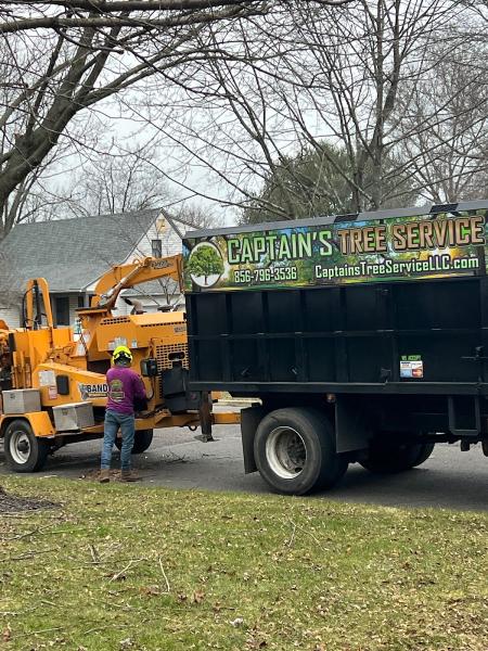 Captain's Tree Service LLC