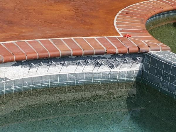 Dunrite Tile & Coping