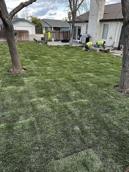 Suncrest Landscape Inc.