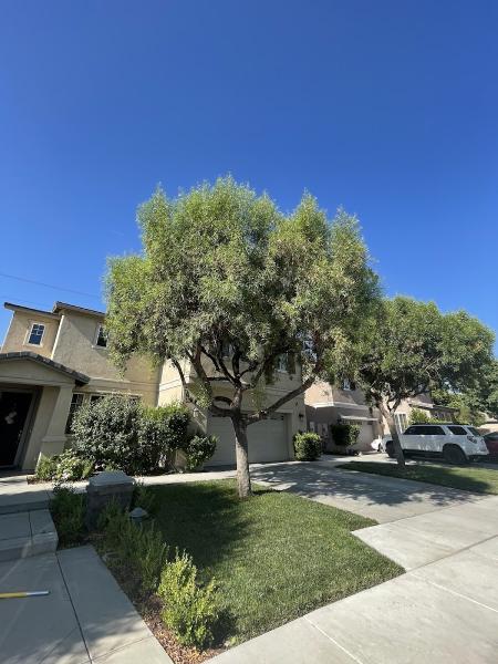 951 Realty Landscaping