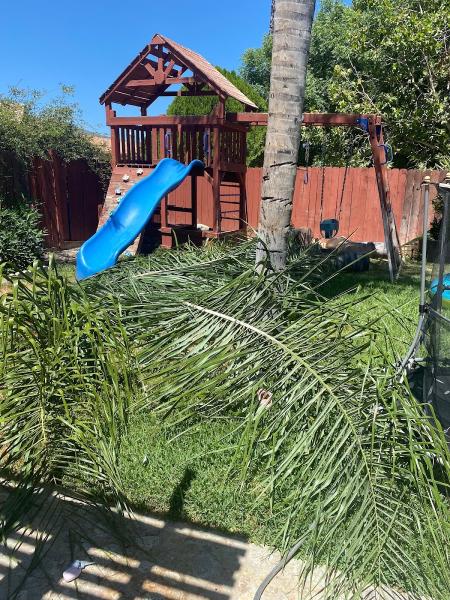 951 Realty Landscaping