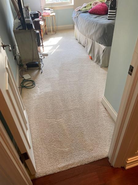 Centtera Carpet & Upholstery Cleaning