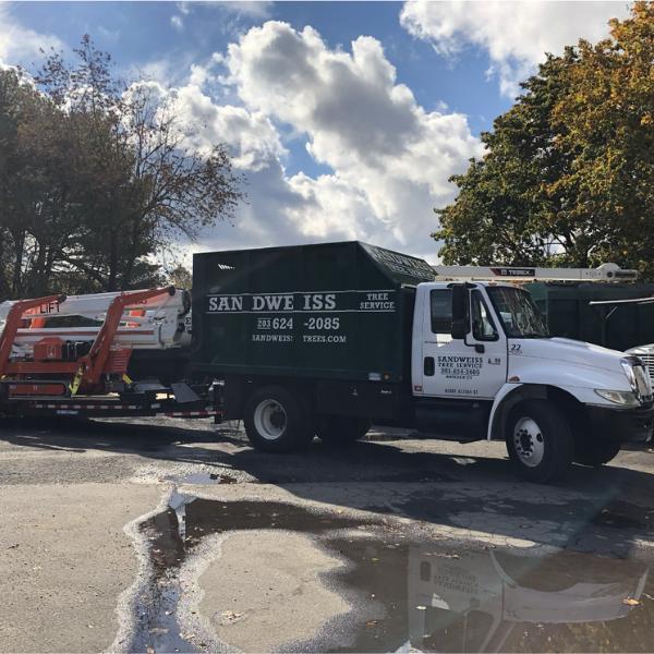 Sandweiss Tree Service