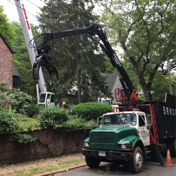 Sandweiss Tree Service