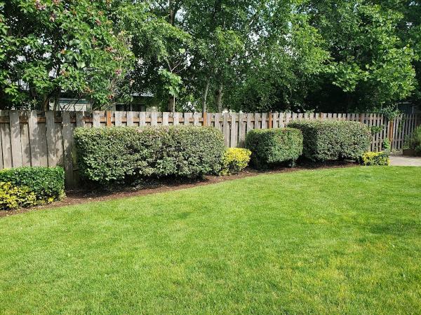 Eagle's Property Maintenance
