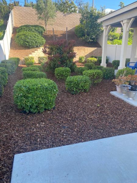Francisco Landscaping
