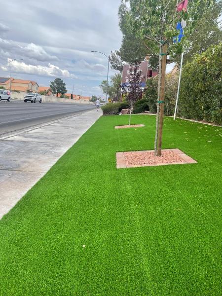 Las Vegas Artificial Grass