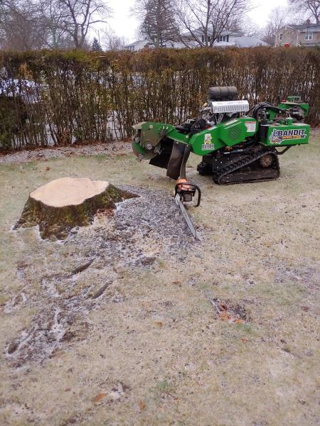 Pauly C's Stump Removal