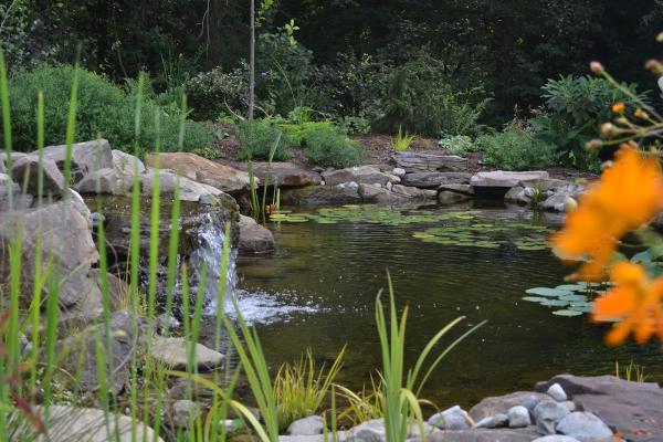 Kiefer Landscaping Inc