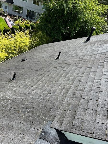 Johnny Tsunami Roof Cleaning