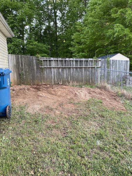 Budget Stump Grinding