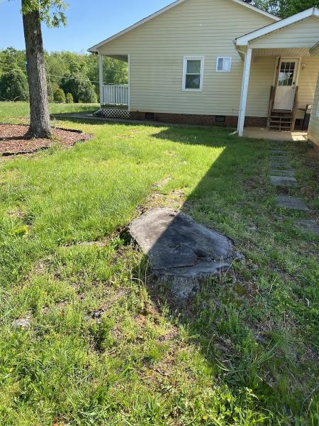 Budget Stump Grinding