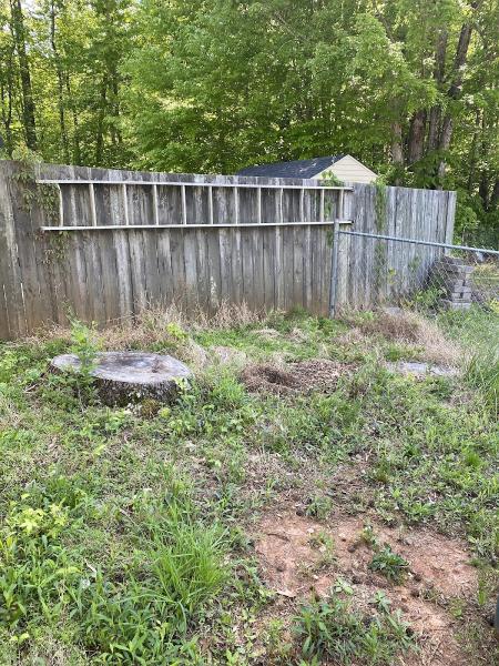Budget Stump Grinding